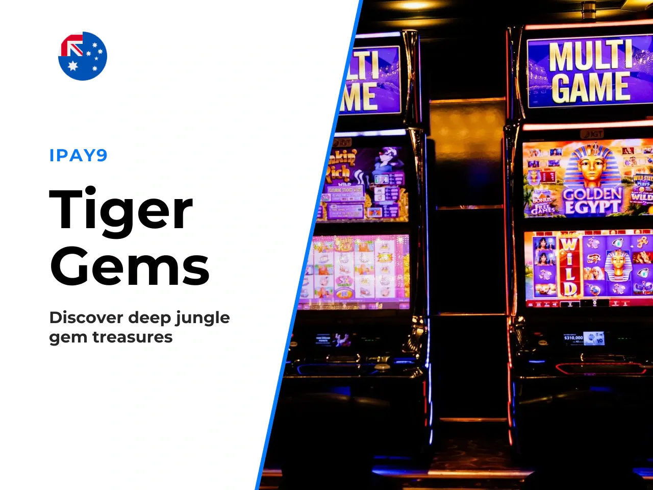 Tiger Gems slot theme, developer and